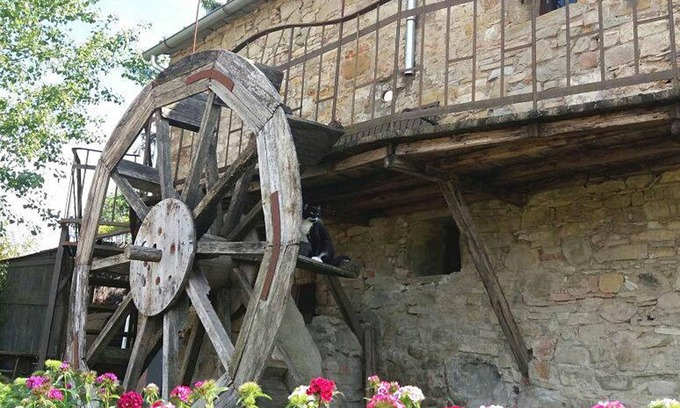 Porrena House | Holiday apartment Poppi for 1 - 2 persons - Holiday house