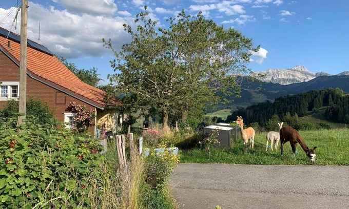 Rute Other | holiday apartment Windegg