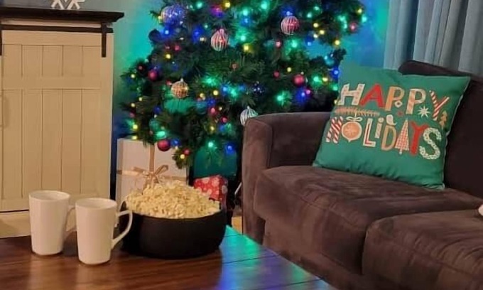 Lindstrom Cabin | Holiday Decor|Multiple Families|Snowshoeing