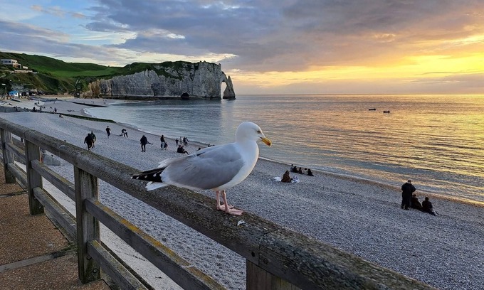 Fecamp Apartment | Holiday flat "Fécamp, Soleil Mapou