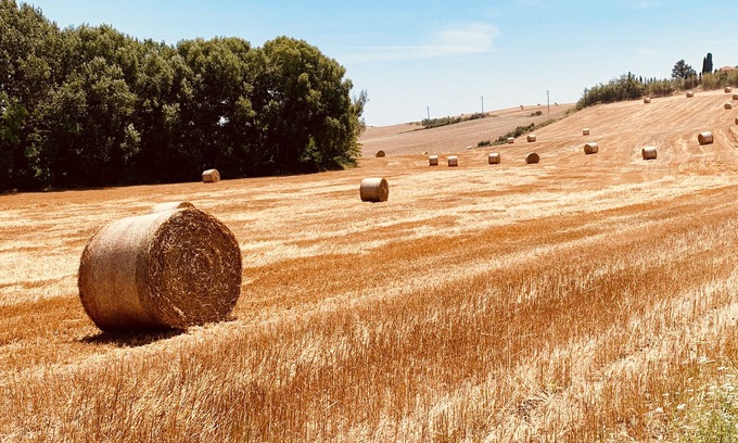 Orciano Pisano House | Holidays on the Tuscan hills one step away from the sea