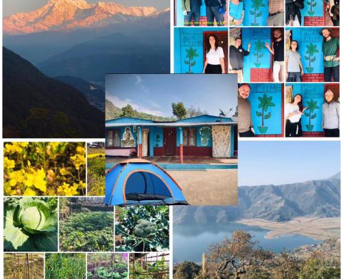 Pokhara House | Hom's Homestay Retreat Sarangkot Pokhara