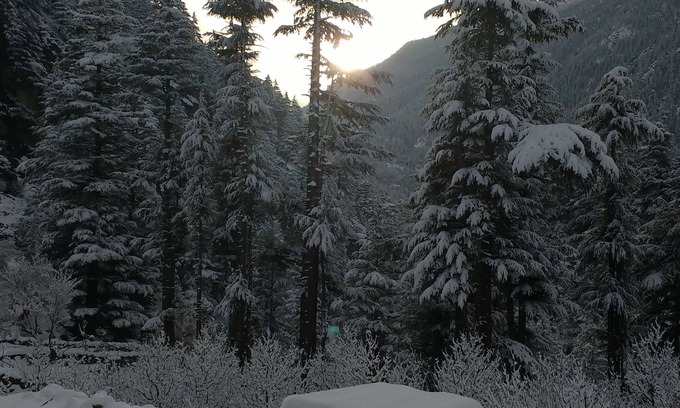 Sangla House | Home away from home. (Bhandari Homestay) Be a part of our Kinnauri culture.