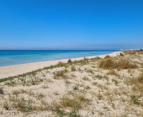 Fontanelle Apartment | Home Fontanelle