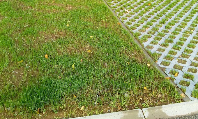 Stavelot House | Homerez - Amazing house for 14 ppl. with terrace at Stavelot