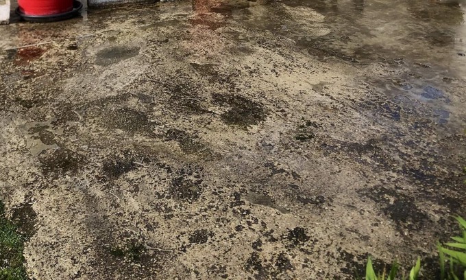 Bergeres-les-Vertus House | Homerez - House for 6 ppl. with garden and terrace at Bergères-lès-Vertus