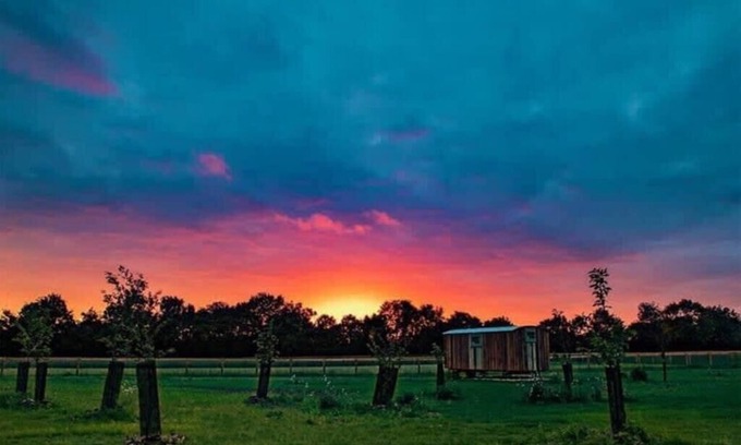 Bedfield Cabin | Honeysuckle Farm Hut 1 - Suffolk Farm Holidays