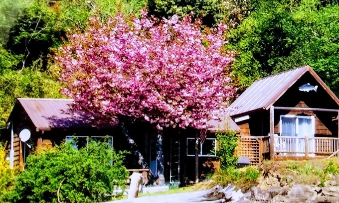 Hoodsport Cabin | Hood Canal 2 B/R Waterfront Cabin. Sleeps 4.