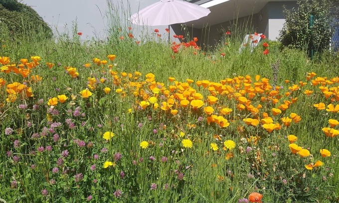 Ceyrat Apartment | Horizon feng shui - large apartment with view and garden