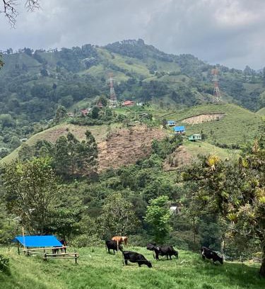 Villamaria House | Hostal Las Hamacas del Bosque