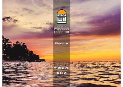 Palomino Cabin | Hostal Palomino EcoHouse & Camping