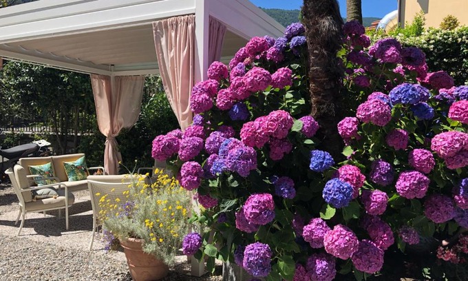 Cannobio Hotel | Hotel Antica Stallera