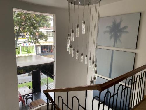 Normandia Bed & Breakfast | Hotel Botaniko