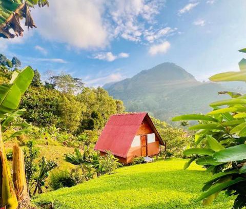 Jardin Other | Hotel Cabañas Villa Loe Jardín