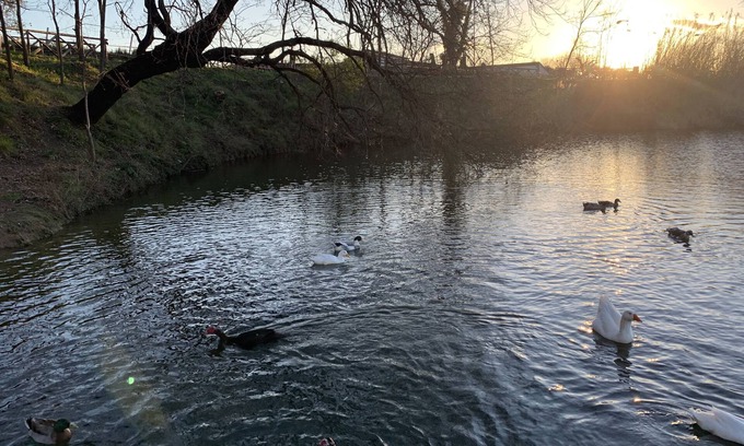 Telese Hotel | Hotel del Lago