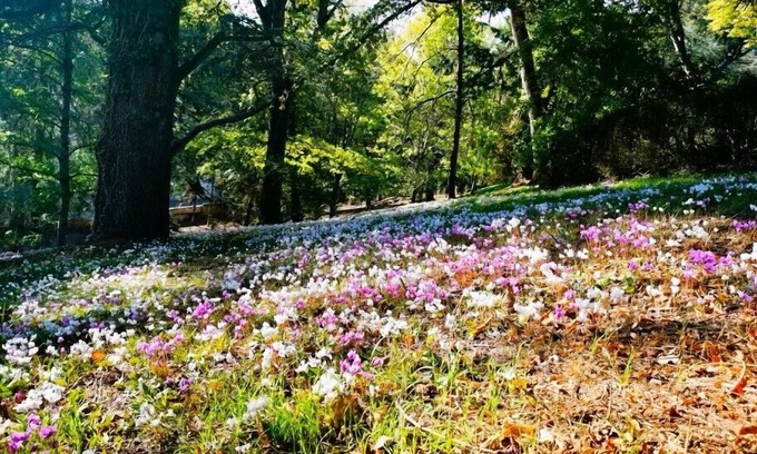 Bourbon-Lancy Hotel | Hotel La Tourelle du Beffroi