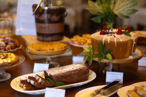 Marina di Cecina Hotel | Hotel Massimo