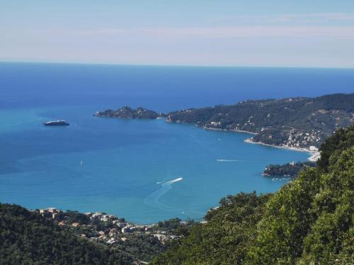 Rapallo Hotel | Hotel Montallegro