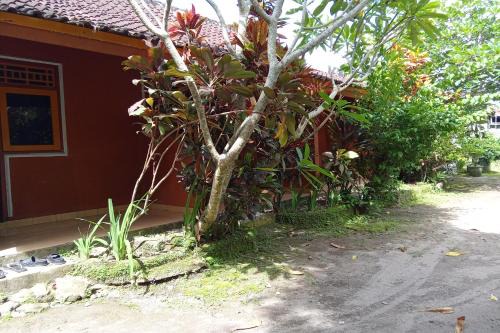 Kecamatan Montong Gading Hotel | Hotel O Dannis Homestay Near Musholla Al Istiqomah Terawangan