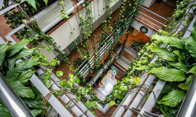 Suba Hotel | Hotel Picasso Inn