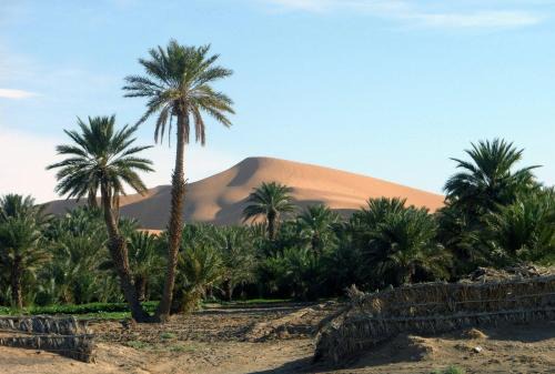Hassilabied Bed & Breakfast | Hotel Riad Oasis