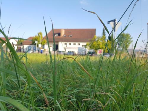 Reicheneck House | Hotel Rosenbach