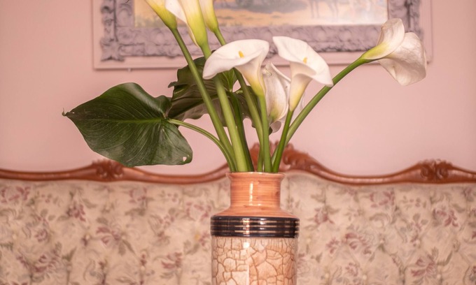 Achilleio House | House Newstalgia in Gastouri Village, Corfu Greece