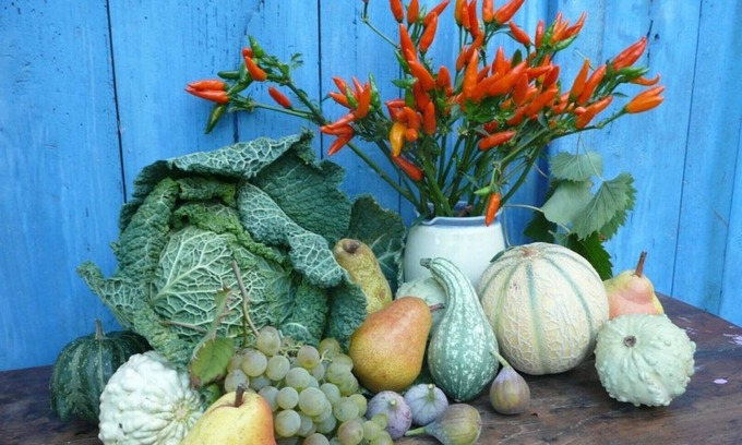 Ossages House | House of Masters Southern Landes full nature heated pool