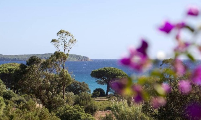 Porto-Vecchio House | House/Villa - Porto Vecchio
