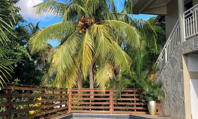 Les Anses-d'Arlets Villa | House with swimming pool with sea view in a garden with trees in Anses d'Arlet