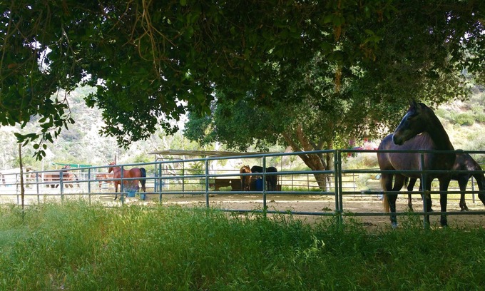 Sylmar Cabin | Huge Ranch,Wedding/Event/Party 200 guests plus cottage or Camping group