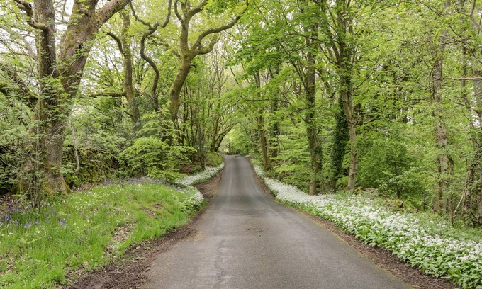 Ulverston Cottage | HUNTSMANS COTTAGE, family friendly, with open fire in Ulverston