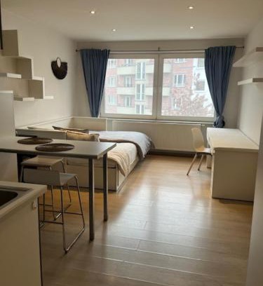 Kunstenkwartier Apartment | Hyppolite Metdepenningenstraat