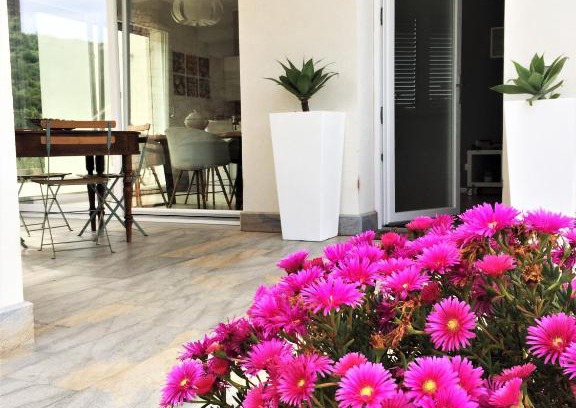 Custonaci House | I due carrubi