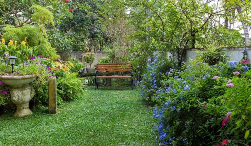 Sri Jayawardenepura Kotte Apartment | Idor Holidays