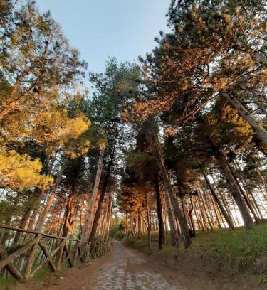 Aieta House | Il Campanile Civico 35