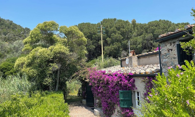 Magazzini Villa | Il Molino – A Historic Watermill Retreat on Elba Island