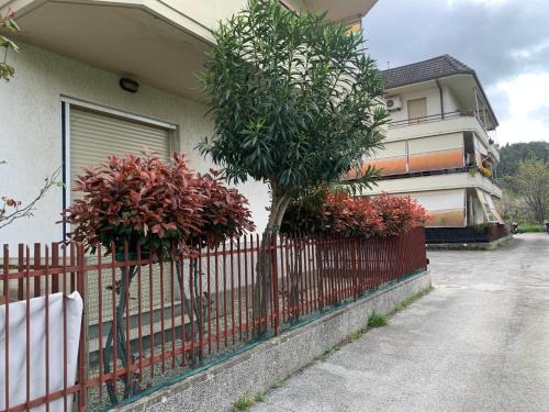 Rivarola Apartment | Il Tucanino