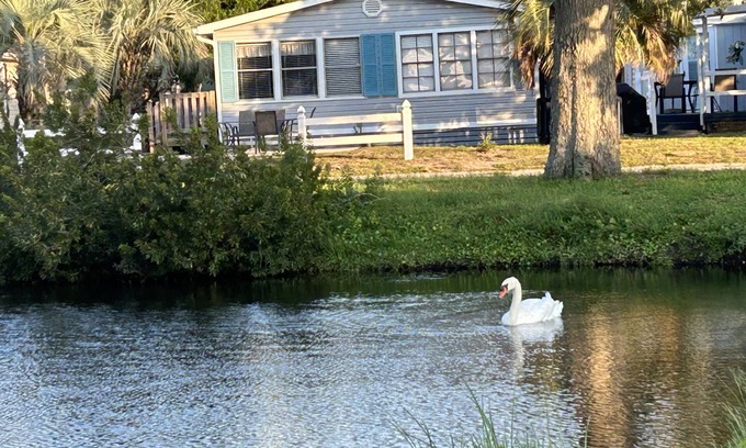 Garden City Cottage | Immaculate 3Bed 2Bath OSV Gem Walk to Beach Pools Hottub Outdoor shower Golfcart