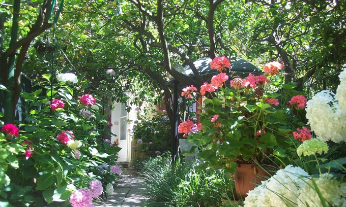 Borgo Antico Apartment | In historical centre of Monterosso, a romantic house with garden