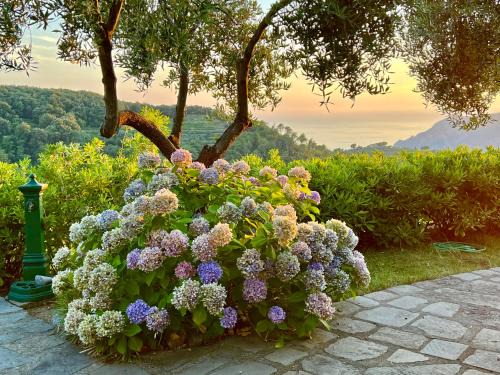 Vernazza Apartment | Incanto