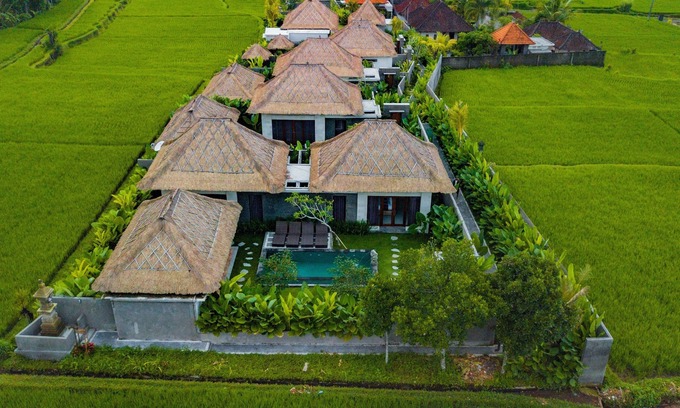 Tegallalang Villa | Indra Loka with nice panoramic of rice field view