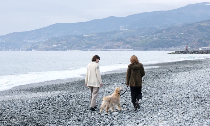 Odawara House | Inu to Umibe