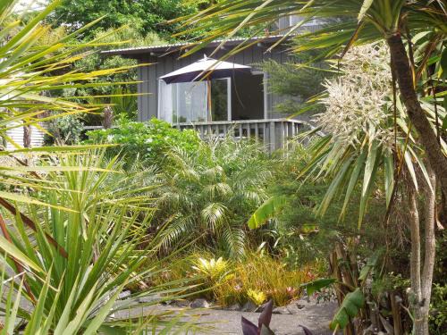 Waiheke Island Apartment | Island Breeze