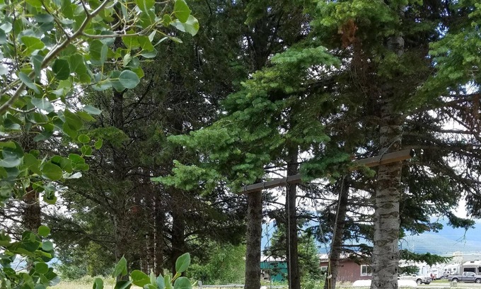 Island Park Cabin | Island Park 13 Miles To Yellowstone And 3 Miles To Henry's Lake