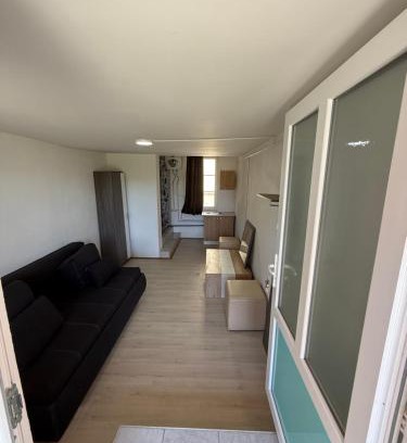 Sangeorgiu de Padure Apartment | István