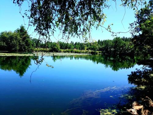 Les Roches-l'Eveque House | Jardin d'Ébène
