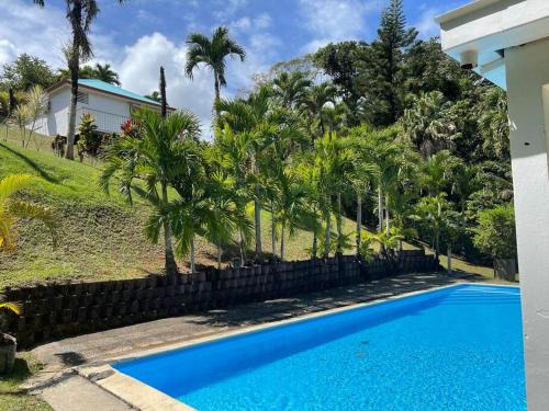 Circuit 1C1 House | Jardin Secret