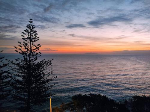 San-Martino-di-Lota Apartment | Joli appartement face à la mer- Grisgione