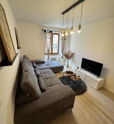 Soultz-Haut-Rhin Apartment | Jolie T2, 55 m, centre ville soultz
